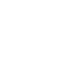 לוגו Toyo Engineering