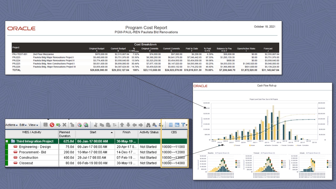 プログラム・コスト・レポート（画像）