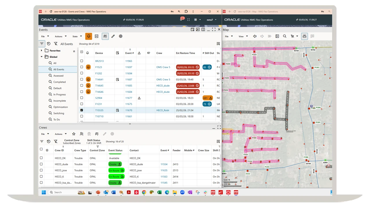 Network Management System Flex Operations image