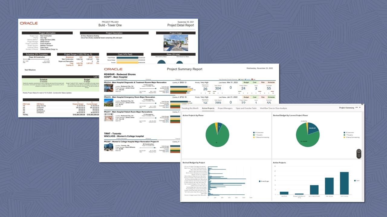 プロジェクトおよびプロジェクト横断レポート（画像）