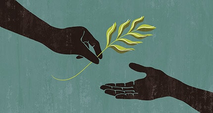 Support and services