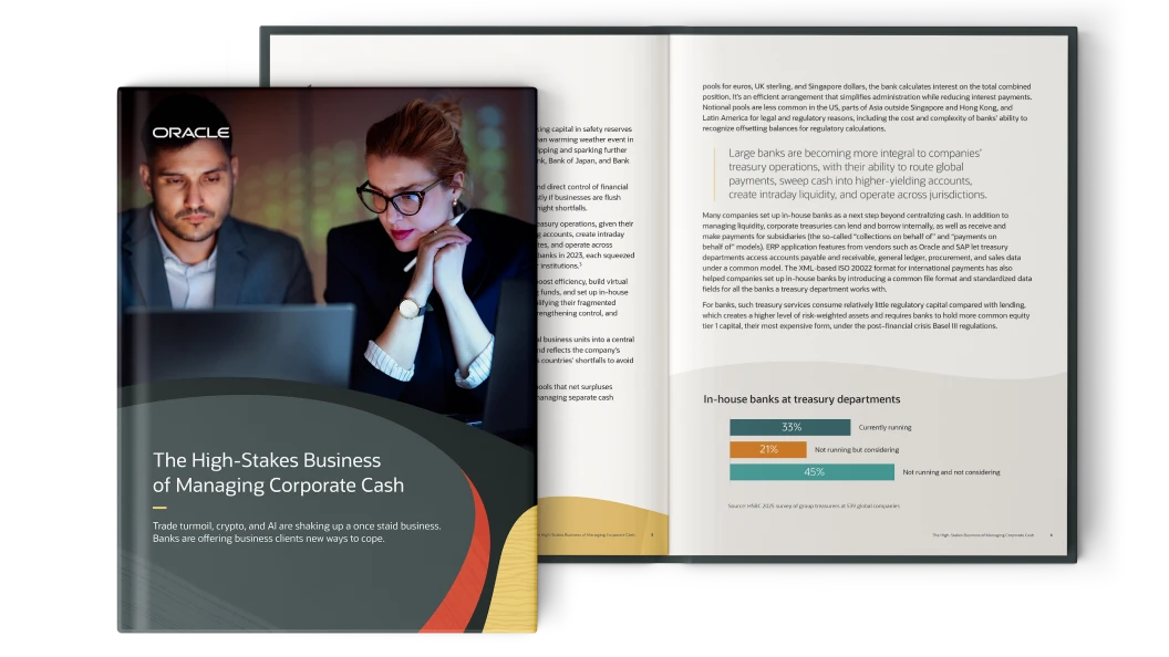 Request The High-Stakes Business of Managing Corporate Cash ebook
